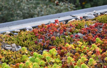 the cost of Ards green roof installation