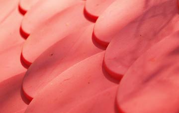 Ards plastic roof costs