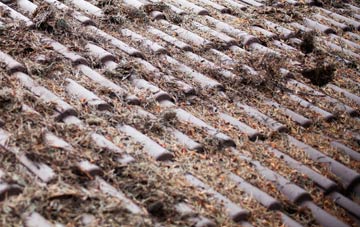 Ards roof cleaning companies