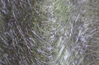 Ards fibreglass roof work